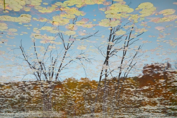 Photograph Michael Filonow Reflection 5 on One Eyeland